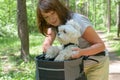 Woman riding a bike with her dog Royalty Free Stock Photo