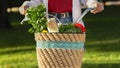 Woman riding a bike through park with vegetarian products Royalty Free Stock Photo