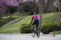 Woman riding bike in spring neighborhood with spandex riding gear and helmet down street with pink blooming trees - selective Royalty Free Stock Photo