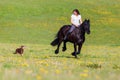 Woman riding a Friesian horse Royalty Free Stock Photo