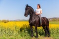 Woman riding a Friesian horse Royalty Free Stock Photo