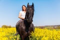 Woman riding a Friesian horse Royalty Free Stock Photo