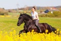 Woman riding a Friesian horse Royalty Free Stock Photo