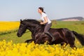 Woman riding a Friesian horse Royalty Free Stock Photo