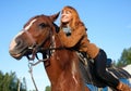 A woman riding a horse Royalty Free Stock Photo