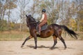 Woman Riding Horse Royalty Free Stock Photo