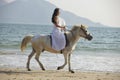 A woman riding horse on beach Royalty Free Stock Photo