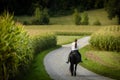 Woman riding a horse. Equestrian sport