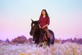 Woman riding horse in flowery meadow at sunset Royalty Free Stock Photo