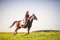 Woman riding a horse on a grass field Royalty Free Stock Photo