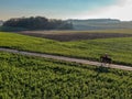 Woman riding a horse on a little road surrounded by green farmland