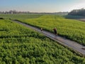 Woman riding a horse on a little road surrounded by green farmland