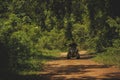 Woman riding quad atv running on wilderness field