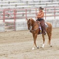 Woman riding Saddlebred horse Royalty Free Stock Photo