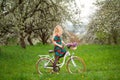 Woman Riding Vintage White Bicycle With Flowers Basket