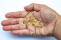 Woman right hand holding Skin from heel break and peeled, Dermatitis of foot, On white background, Asian Body skin part Royalty Free Stock Photo