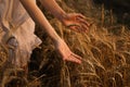 Woman in ripe wheat spikelets field, closeup Royalty Free Stock Photo