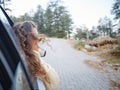 Woman on road trip traveling by rental car Royalty Free Stock Photo