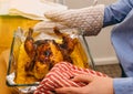 Woman roast chicken oven tasty food Royalty Free Stock Photo