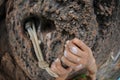 Woman rock climber hands climbing at mountain cliff rock