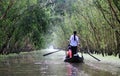 A woman rowing boat at the Tra Su Forest, An Giang, Vietnam