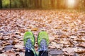 Woman runner foot in the fall leaves on the ground in the forest in autumn season