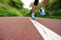 Woman runner legs running at forest trail Royalty Free Stock Photo