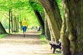 Woman runner running jogging in green summer park and woods Royalty Free Stock Photo