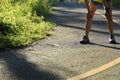 Woman runner take a break at morning tropical forest trail Royalty Free Stock Photo