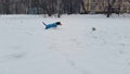 A woman Running Away With His Dog On The Snow-Covered park