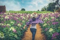 Woman running in the garden flowers to touch her Royalty Free Stock Photo