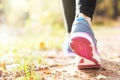 Woman running legs in sunset forest Royalty Free Stock Photo