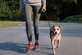 Woman in running suit training with her dog. Young fit female an Royalty Free Stock Photo