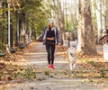 Woman running and walking in beautiful park with akita dog.