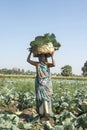 A woman in rural India carrying a basket on her head