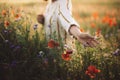 Woman in rustic dress gathering poppy and wildflowers in sunset light, walking in summer meadow. Atmospheric authentic moment.