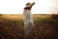 Woman in rustic dress and hat walking in wildflowers and herbs in sunset golden light in summer meadow. Atmospheric authentic Royalty Free Stock Photo