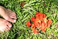Woman`s bare feet on the grass next to circle of orange petals