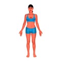 A woman`s body is visible from the front with white background illustration Royalty Free Stock Photo