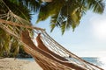 Woman`s Feet On Hammock Hanging On Palm Tree