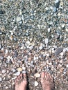 Woman`s feet on a rocky beach Royalty Free Stock Photo