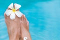 Woman`s female legs in blue swimming pool water with flower Royalty Free Stock Photo