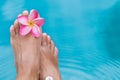 Woman`s female legs in blue swimming pool water with frangipani Royalty Free Stock Photo