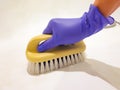 A woman`s hand in a blue latex glove holds a sink cleaning brush. Washes the white sink in the bathroom. The concept of cleaning Royalty Free Stock Photo