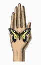 Woman`s hand with a butterfly sitting on her palm. Vintage color