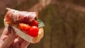 Woman& x27;s hand with cherry tomato bruschetta. Italian wine appetizer Royalty Free Stock Photo