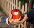 Woman`s hand and a child`s hand holding a large red apple with a heart carved in it Royalty Free Stock Photo