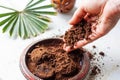 Woman`s hand crumbles coffee grounds into wooden bowl. Coffee grounds used as a body scrub or fertilizer for plants Royalty Free Stock Photo