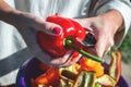 Woman`s hand cuts ripe red peppers. Cutting Bell Pepper outdoors. Cooking fresh vegetable salad Royalty Free Stock Photo