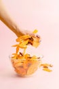 Woman`s hand grabbing handful of dried fruit from a bowl with assorted vegan jerky